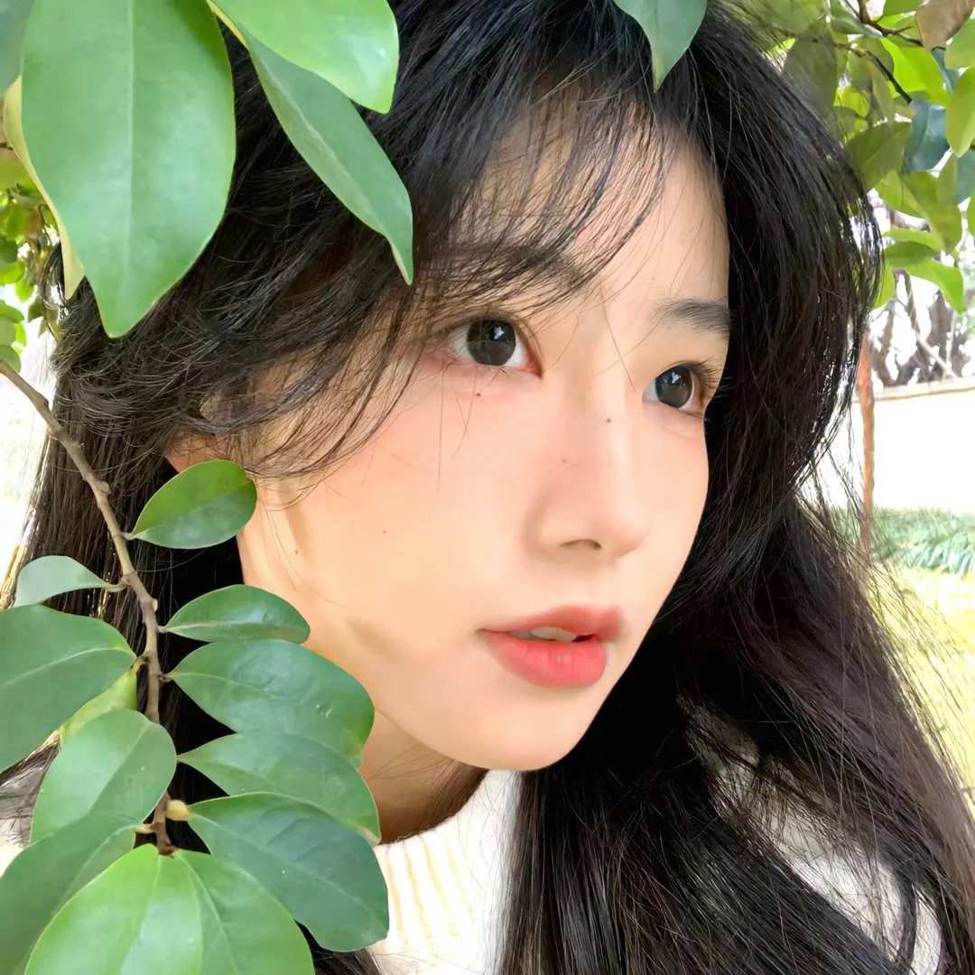 爱情手册2